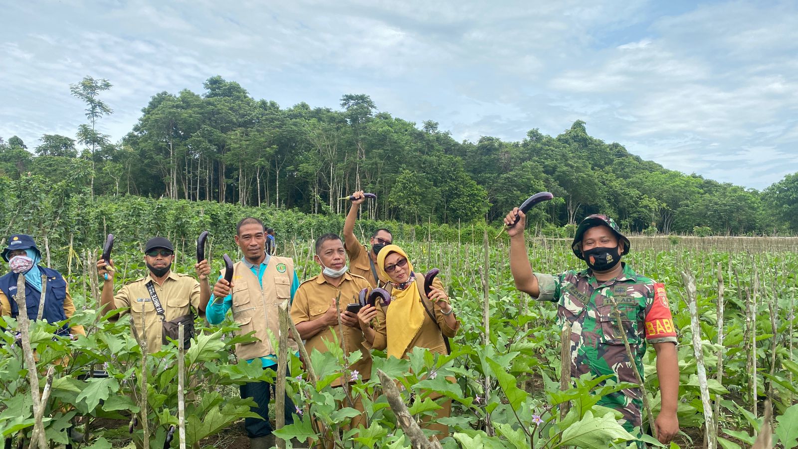 Kegiatan Pertemuan Dialog Dan Panen Sayur Di Lahan Kelompok Tani